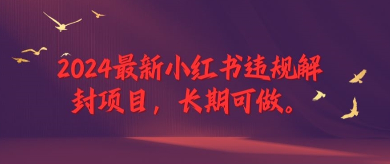 2024最新小红书违规解封项目，长期可做，一个可以做到退休的项目【揭秘】-Ai创业网
