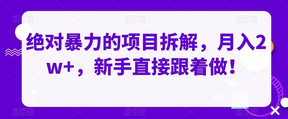 绝对暴力的项目拆解，月入2w+，新手直接跟着做！-Ai创业网