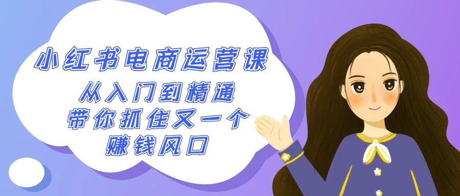 2024小红书-电商运营课，从入门到精通，带你抓住又一个赚钱风口(50节课)-Ai创业网