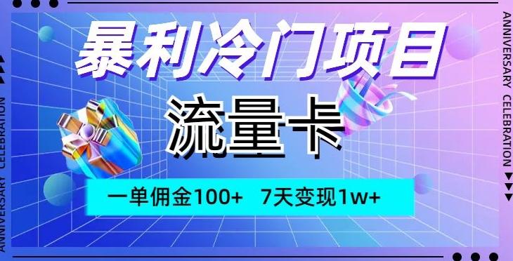 暴利冷门项目，流量卡，一单佣金100+，7天变现1w+-Ai创业网