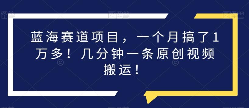 蓝海赛道项目，一个月搞了1万多！几分钟一条原创视频搬运！-Ai创业网