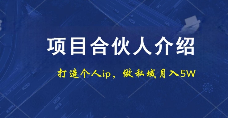 项目合伙人项目，打造个人IP，做私域月入5W，小白勿扰-Ai创业网