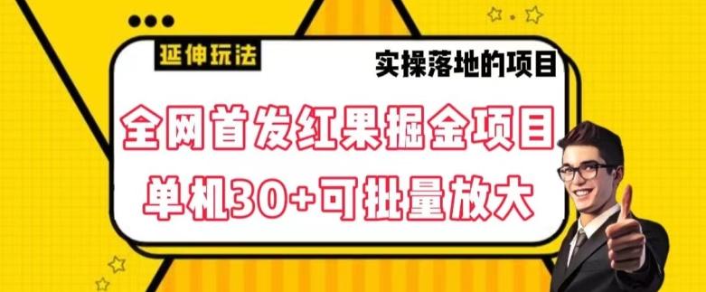全网首发红果免费短剧掘金项目，单机30+可批量放大【揭秘】-Ai创业网