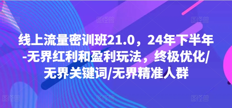 线上流量密训班21.0，24年下半年-无界红利和盈利玩法，终极优化/无界关键词/无界精准人群-Ai创业网
