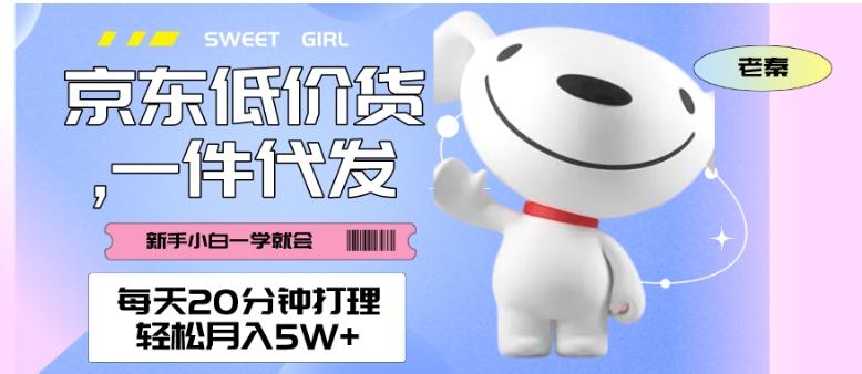 每天20分钟打理京东低价货，一件代发-轻松月入5W＋-Ai创业网