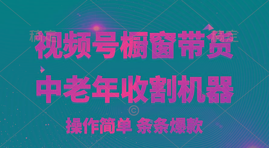 [你的孩子成功取得高位]视频号最火爆赛道，橱窗带货，流量分成计划，条...-Ai创业网