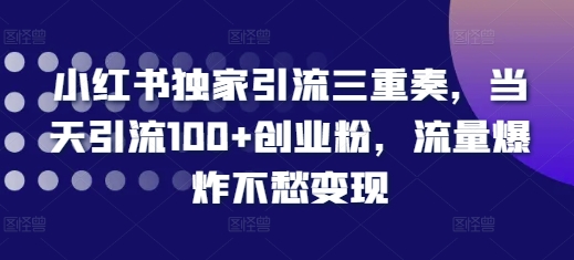 小红书独家引流三重奏，当天引流100+创业粉，流量爆炸不愁变现【揭秘】-Ai创业网