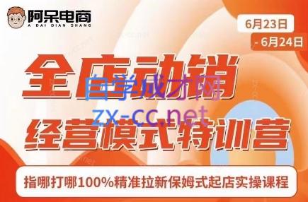 阿呆电商·全店动销经营模式特训营(线下录音+思维导图)-Ai创业网