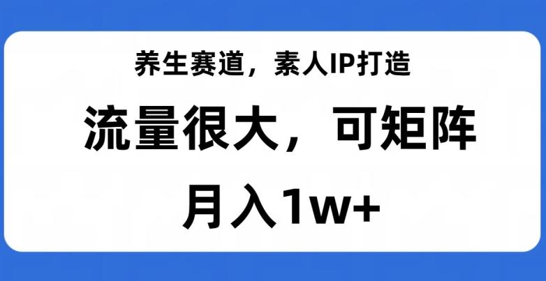 养生赛道，素人IP打造，流量很大，可矩阵，月入1w+【揭秘】-Ai创业网