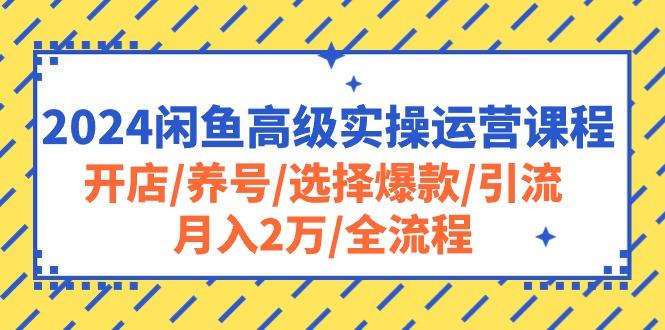 2024闲鱼高级实操运营课程：开店/养号/选择爆款/引流/月入2万/全流程-Ai创业网