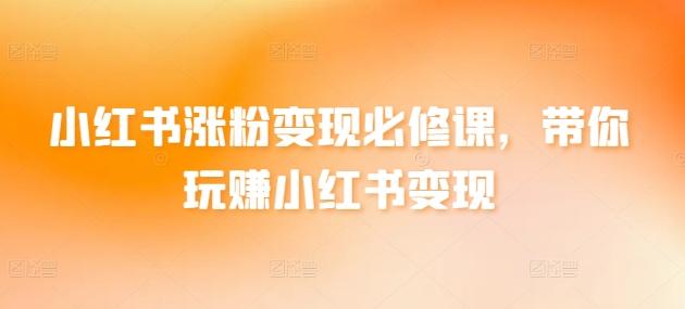 小红书涨粉变现必修课，带你玩赚小红书变现-Ai创业网