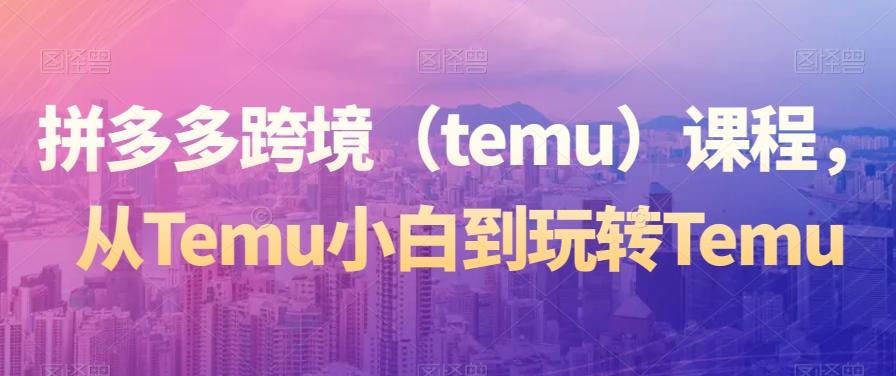 拼多多跨境（temu）课程，从Temu小白到玩转Temu-Ai创业网