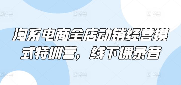 淘系电商全店动销经营模式特训营，线下课录音-Ai创业网
