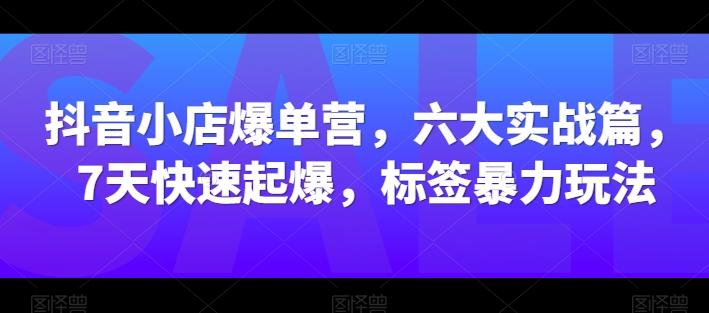 抖音小店爆单营，六大实战篇，7天快速起爆，标签暴力玩法-Ai创业网