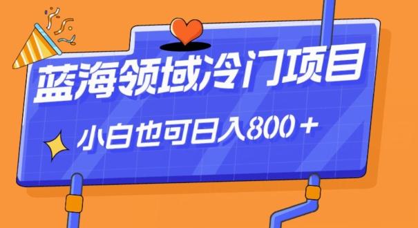 蓝海领域冷门赛道，一单39.9，日入800＋-Ai创业网