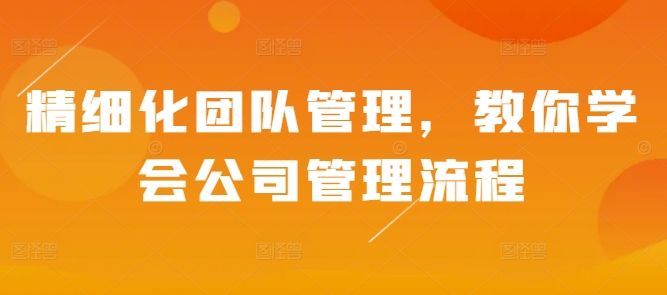 精细化团队管理，教你学会公司管理流程-Ai创业网