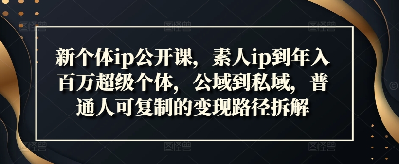 新个体ip公开课，素人ip到年入百万超级个体，公域到私域，普通人可复制的变现路径拆解-Ai创业网