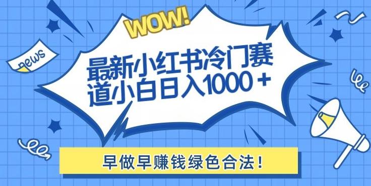 最新小红书冷门赛道日入1000+一部手机小白轻松-Ai创业网