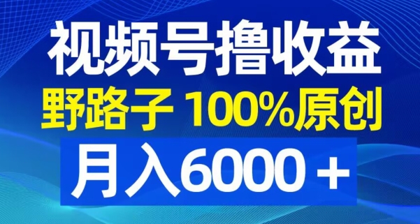 视频号野路子撸收益，100%原创，条条爆款，月入6000＋【揭秘】-Ai创业网