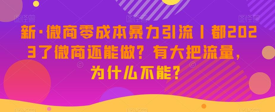 新·微商零成本暴力引流丨都2023了微商还能做？有大把流量，为什么不能？-Ai创业网