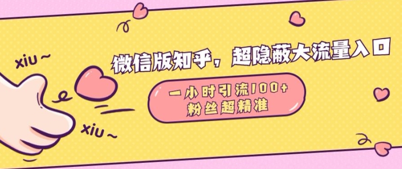 微信版知乎，超隐蔽流量入口1小时引流100人，粉丝质量超高【揭秘】-Ai创业网