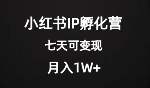 价值2000+的小红书IP孵化营项目，超级大蓝海，七天即可开始变现，稳定月入1W+-Ai创业网