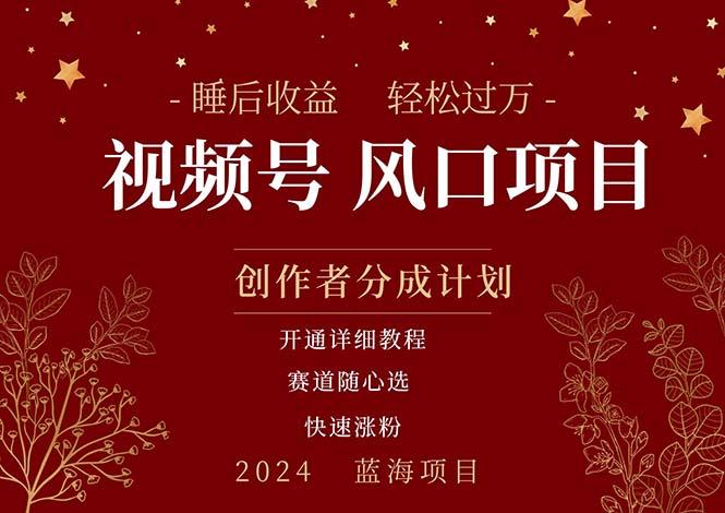 拥有睡眠收益的微信视频号大风口项目，轻松月入过万+，多赛道选择，可...-Ai创业网