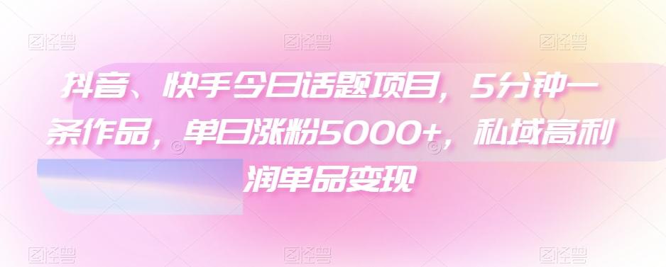 抖音、快手今日话题项目，5分钟一条作品，单日涨粉5000+，私域高利润单品变现-Ai创业网