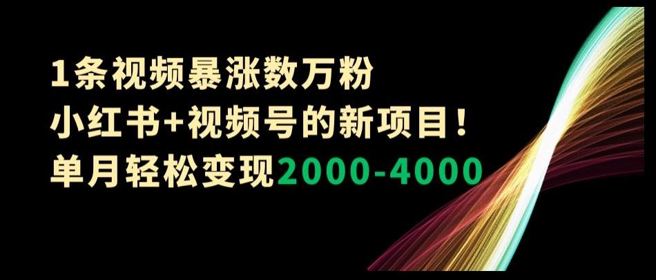 1条视频暴涨数万粉–小红书+视频号的新项目！单月轻松变现2000-4000【揭秘】-Ai创业网