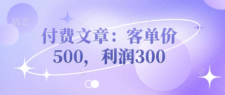 付费文章：客单价500，利润300-Ai创业网