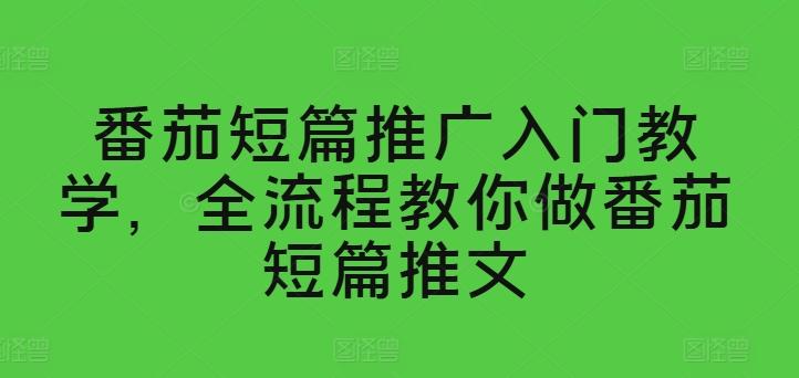 番茄短篇推广入门教学，全流程教你做番茄短篇推文-Ai创业网
