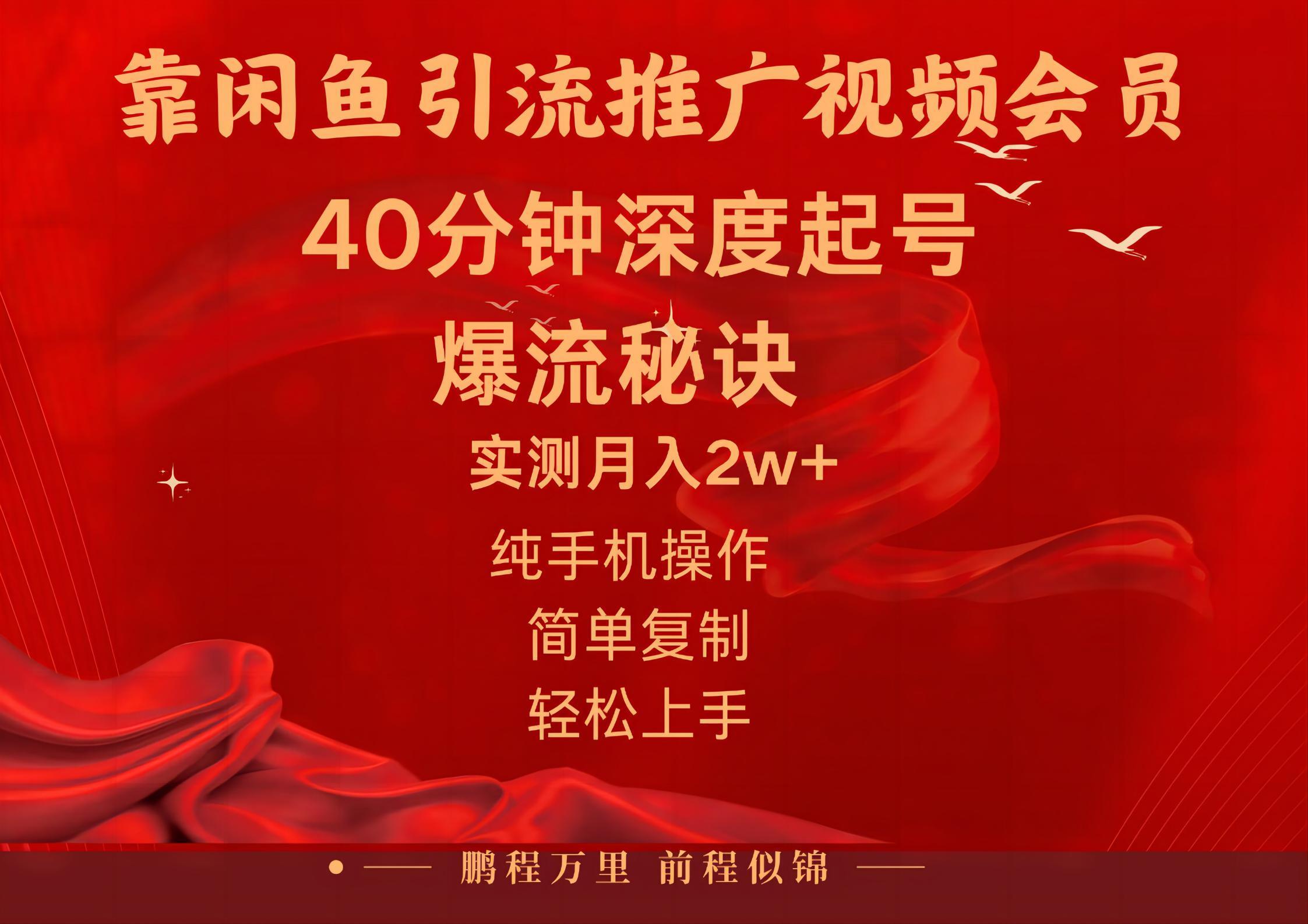闲鱼暴力引流推广视频会员，能做到日入2W+，操作简单-Ai创业网