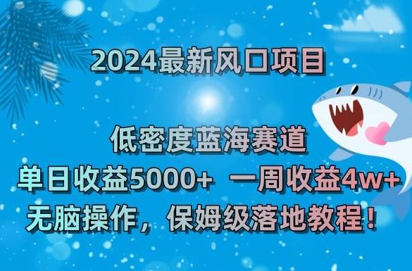 2024最新风口项目，低密度蓝海赛道，单日收益5000+，一周收益4w+！【揭秘】-Ai创业网