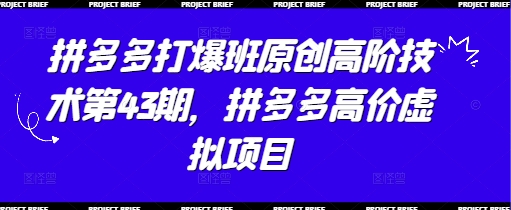 拼多多打爆班原创高阶技术第43期，拼多多高价虚拟项目-Ai创业网