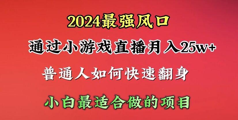 (10020期)2024年最强风口，通过小游戏直播月入25w+单日收益5000+小白最适合做的项目-Ai创业网