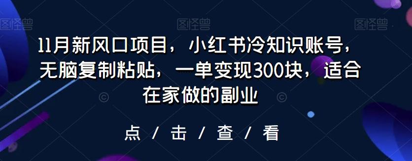 11月新风口项目，小红书冷知识账号，无脑复制粘贴，一单变现300块，适合在家做的副业-Ai创业网