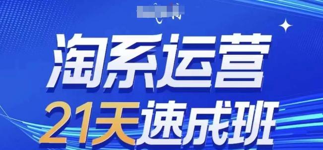 淘系运营21天速成班(更新24年7月)，0基础轻松搞定淘系运营，不做假把式-Ai创业网
