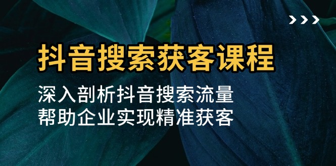 抖音搜索获客课程：深入剖析抖音搜索流量，帮助企业实现精准获客-Ai创业网