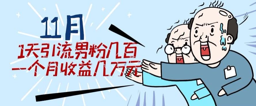 11月最新每天引流男粉300+一个月收益几万元-Ai创业网