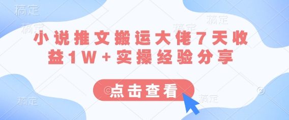 小说推文搬运大佬7天收益1W+实操经验分享-Ai创业网