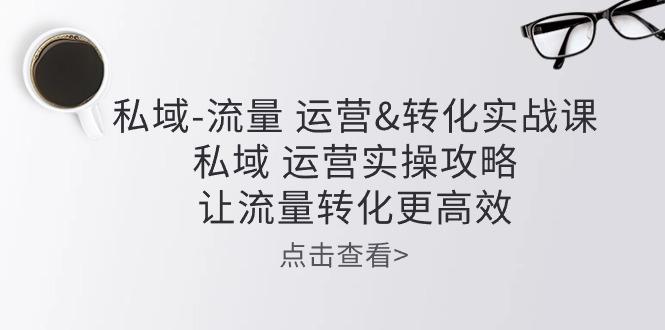 私域-流量 运营&转化实操课：私域 运营实操攻略 让流量转化更高效-Ai创业网