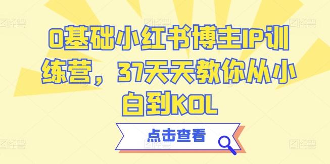 0基础小红书博主IP训练营，37天天教你从小白到KOL-Ai创业网