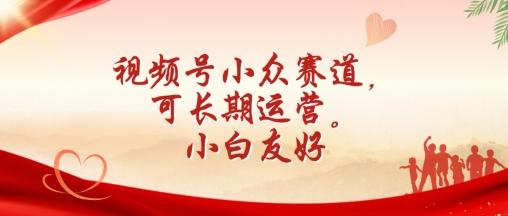视频号小众赛道，可长期运营，小白友好【揭秘】-Ai创业网