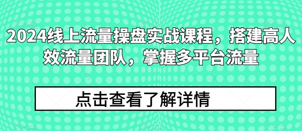 2024线上流量操盘实战课程，搭建高人效流量团队，掌握多平台流量-Ai创业网
