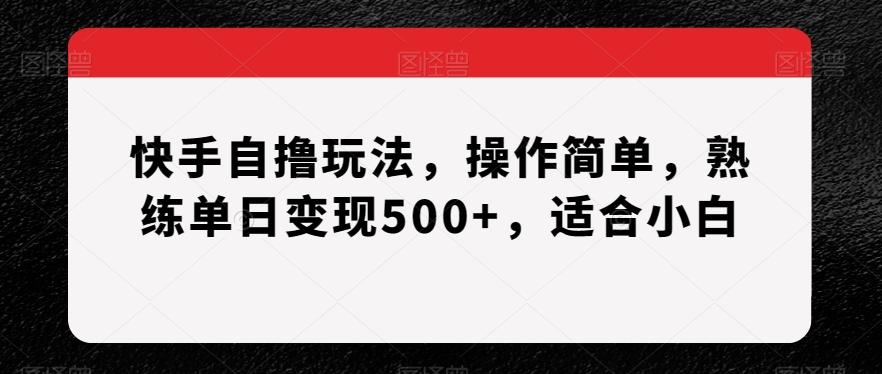 快手自撸玩法，操作简单，熟练单日变现500+，适合小白【揭秘】-Ai创业网