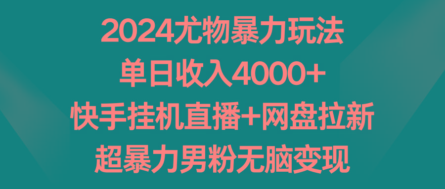 2024尤物暴力玩法 单日收入4000+快手挂机直播+网盘拉新 超暴力男粉无脑变现-Ai创业网