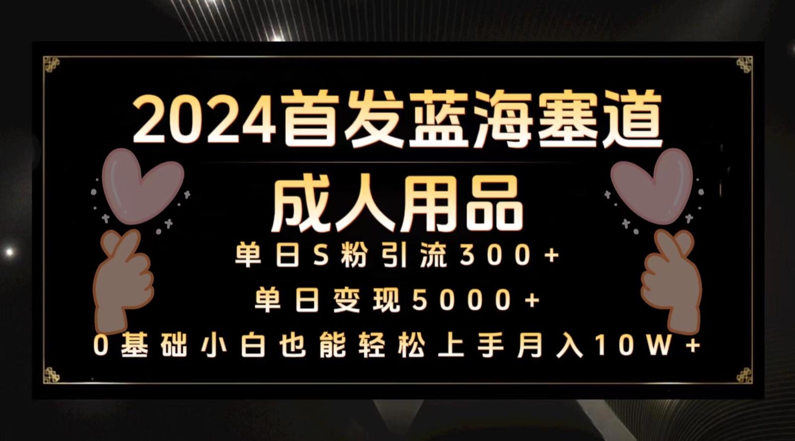 2024首发蓝海塞道成人用品，月入10W+保姆教程-Ai创业网