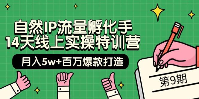 (9881期)自然IP流量孵化手 14天线上实操特训营【第9期】月入5w+百万爆款打造 (74节)-Ai创业网