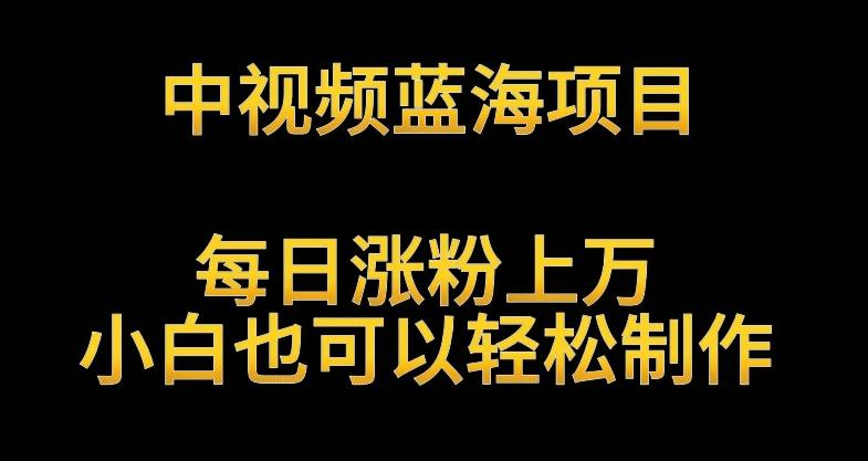 中视频蓝海项目，解读英雄人物生平，每日涨粉上万，小白也可以轻松制作，月入过万不是梦【揭秘】-Ai创业网