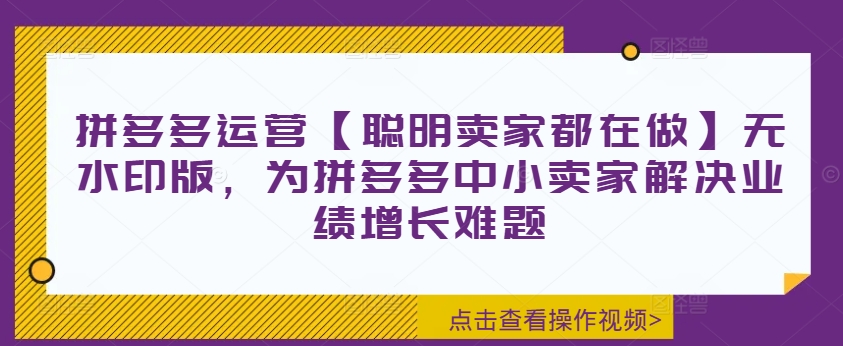 拼多多运营【聪明卖家都在做】无水印版，为拼多多中小卖家解决业绩增长难题-Ai创业网
